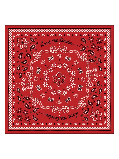 Set van 20 papieren bandana-servetten - Kiabi