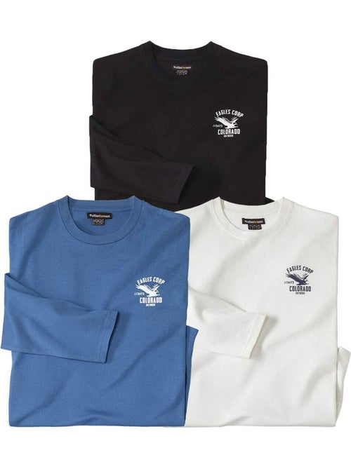 Set van 3 Colorado T-shirts met lange mouwen - ATLAS FOR MEN - Kiabi Set van 3 Colorado T-shirts met lange mouwen - ATLAS FOR MEN - Kiabi
