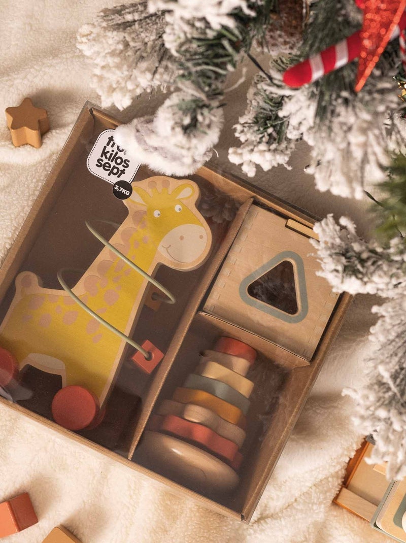 Set van 3 houten ontwikkelingsspeeltjes Multicolor - Kiabi