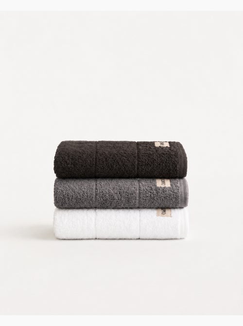 Set van 3 keukenhanddoeken van 100% katoen, diverse kleuren, badstof - Gamusi. - Kiabi Set van 3 keukenhanddoeken van 100% katoen, diverse kleuren, badstof - Gamusi. - Kiabi