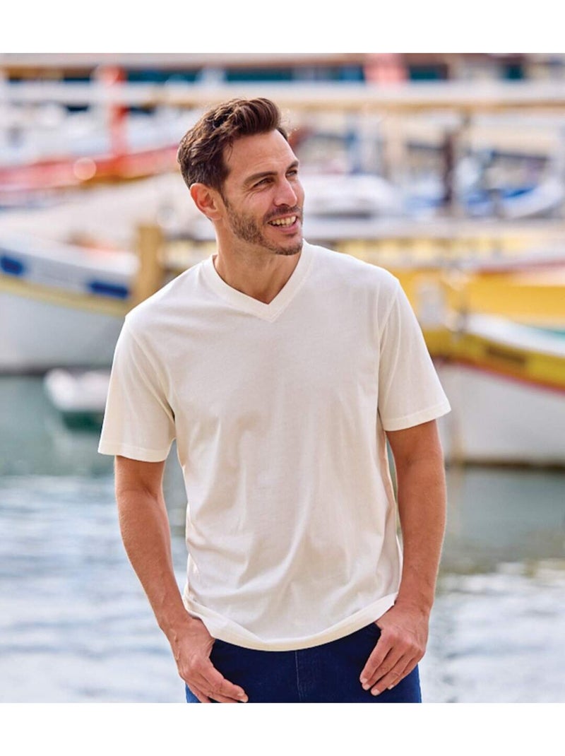 Set van 4 effen T-shirts met v-hals - ATLAS FOR MEN Wit Marineblauw Grijs - Kiabi