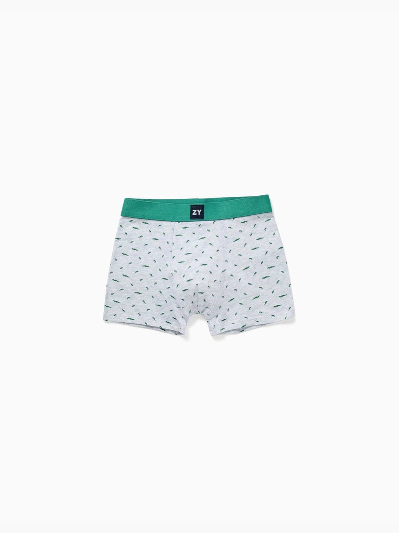 Set van 4 effen/bedrukte boxershorts Groengrijs - Kiabi