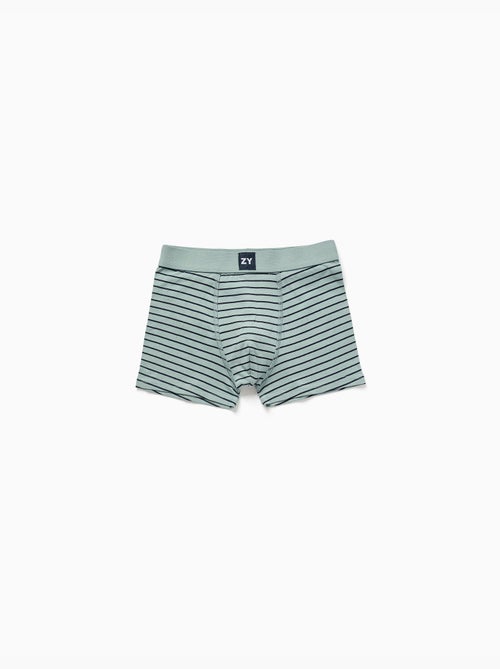 Set van 4 effen/gestreepte boxershorts - Kiabi