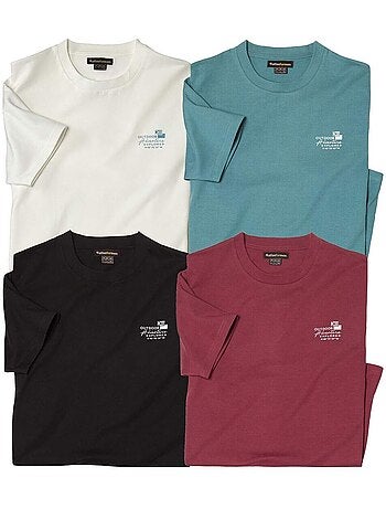 Set van 4 T-shirts Expedition - ATLAS FOR MEN