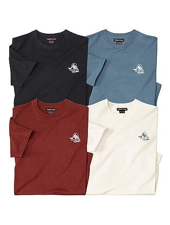 Set van 4 T-shirts Expedition - ATLAS FOR MEN