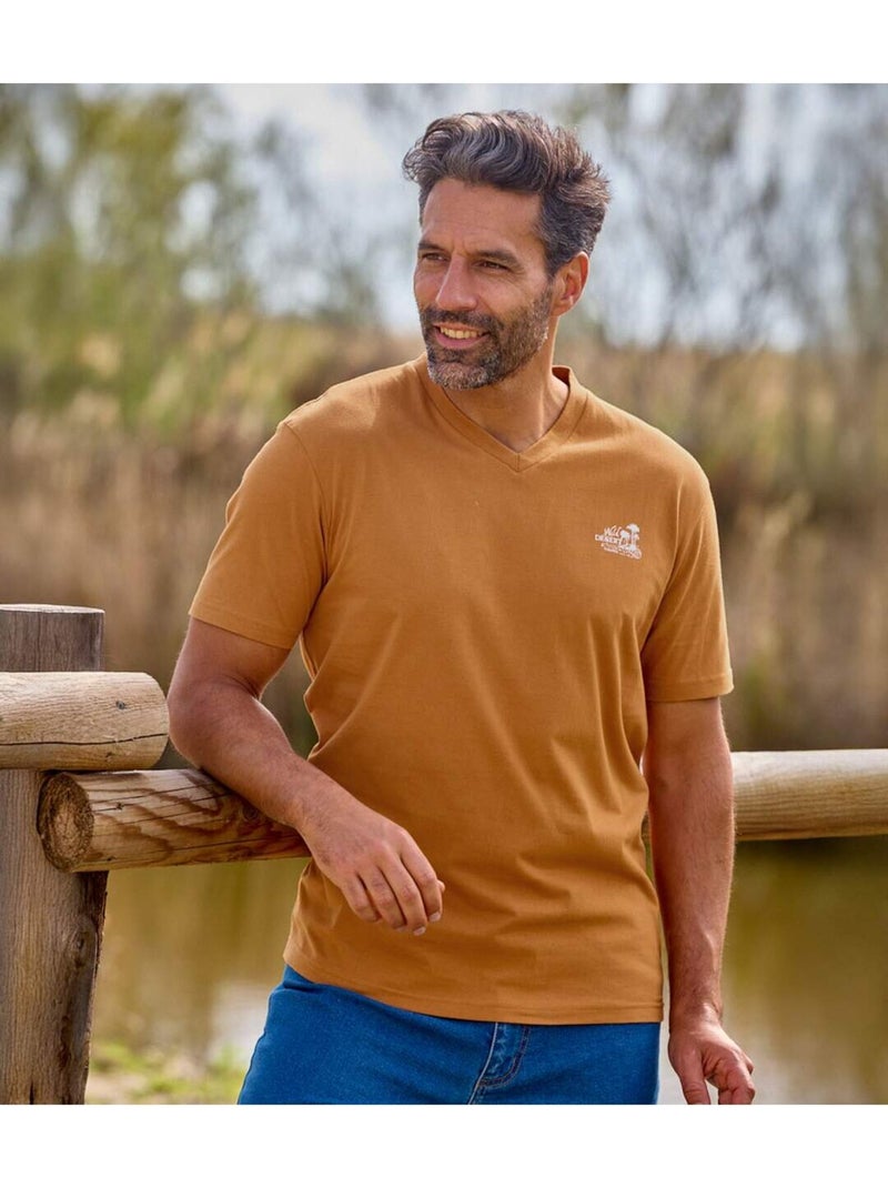 Set van 4 T-shirts met V-hals - ATLAS FOR MEN Blauw Bruin Wit - Kiabi