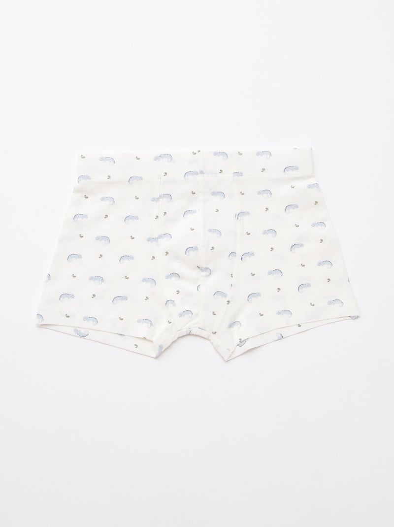 Set van 5 boxers met fantasieprint Blauw - Kiabi