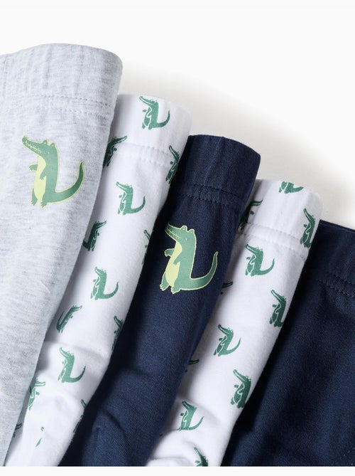 Set van 5 katoenen slips met krokodilprints - Kiabi