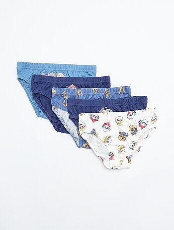 Set van 5 'Paw Patrol'-slips