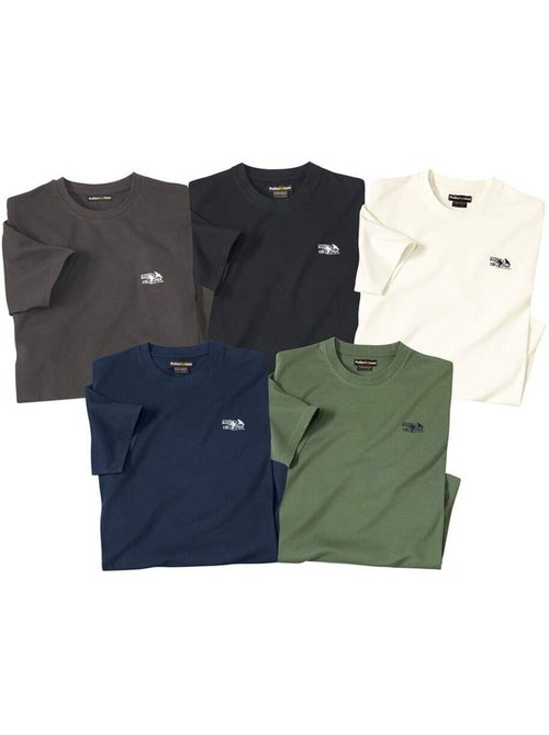 Set van 5 T-shirts Atlas - ATLAS FOR MEN - Kiabi Set van 5 T-shirts Atlas - ATLAS FOR MEN - Kiabi