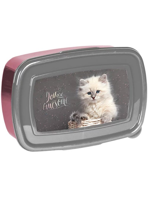 Snackdoos rechthoekig van PVC NASA kat met fenêtre 18 x 11 x 6 cm - Kiabi Snackdoos rechthoekig van PVC NASA kat met fenêtre 18 x 11 x 6 cm - Kiabi