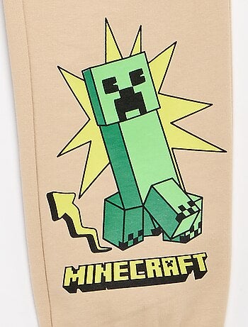 Sporttraining 'Minecraft'