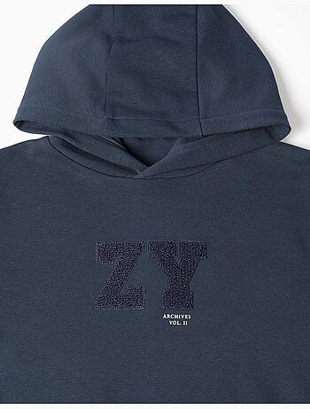 Sweat à capuche avec broderie en bouclettes zy
