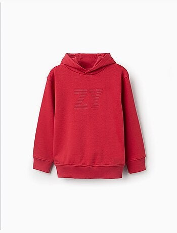 Sweat à capuche avec broderie en bouclettes zy