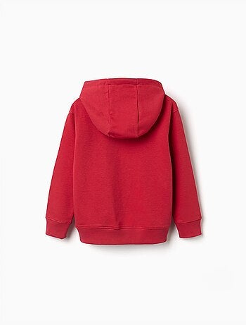 Sweat à capuche avec broderie en bouclettes zy