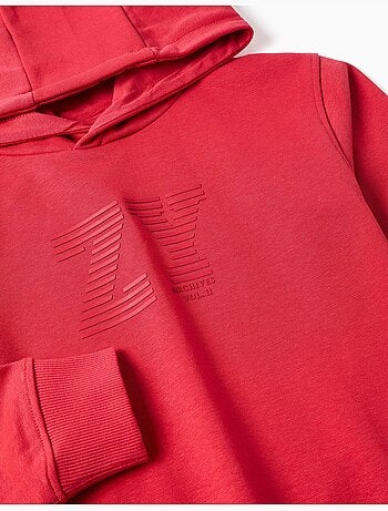 Sweat à capuche avec broderie en bouclettes zy