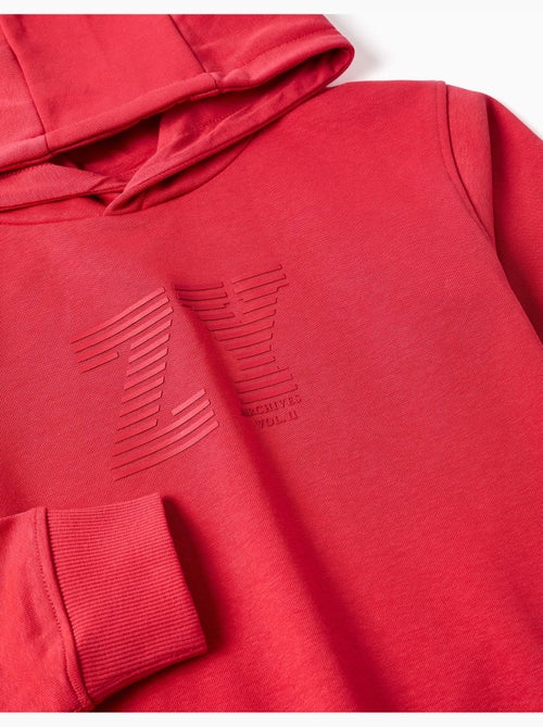 Sweat à capuche avec imprimé en relief ZY - Kiabi