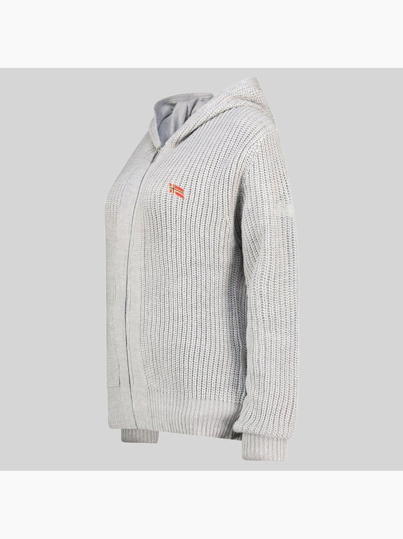 Sweat à capuche flexibus – geographical norway Gris clair - Kiabi