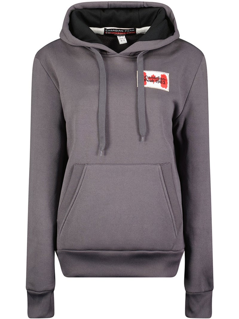 Sweat à capuche genifeak – canadian peak Gris foncé - Kiabi