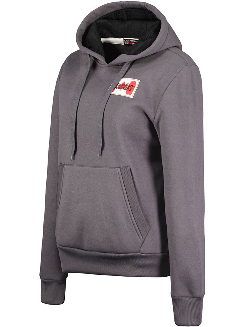 Sweat à capuche genifeak – canadian peak Gris foncé - Kiabi