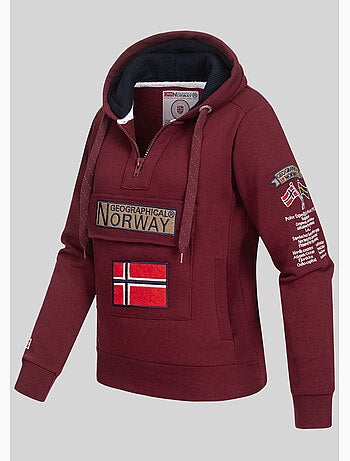 Sweat à capuche gymclass – geographical norway