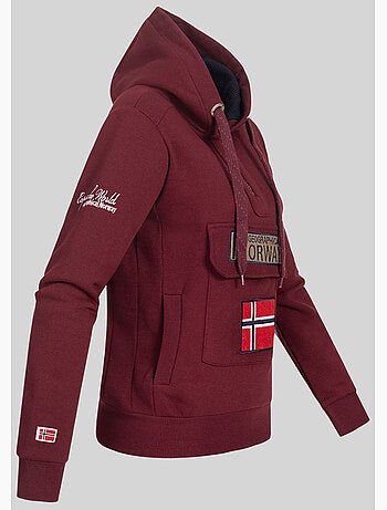 Sweat à capuche gymclass – geographical norway