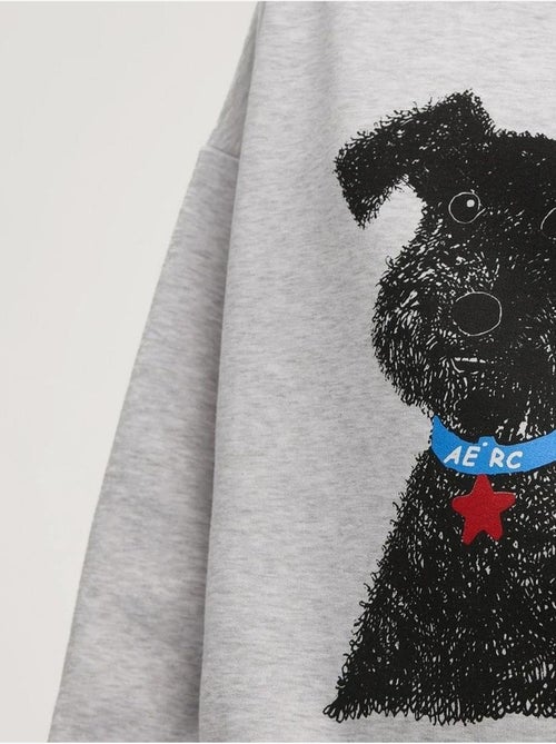 Sweat à capuche imprimé surdimensionné hiccup - Kiabi Sweat à capuche imprimé surdimensionné hiccup - Kiabi