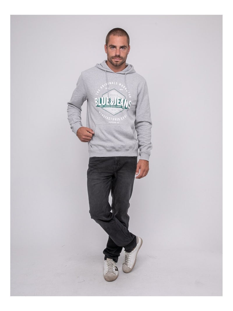 Sweat à capuche imprimé wadady Gris chiné - Kiabi