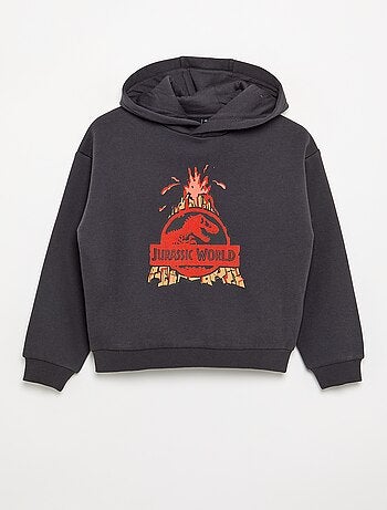 Sweat à capuche 'Jurassic World'