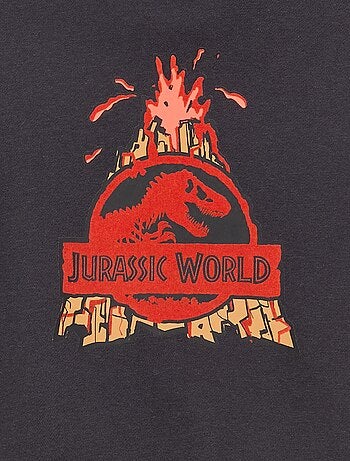 Sweat à capuche 'Jurassic World'
