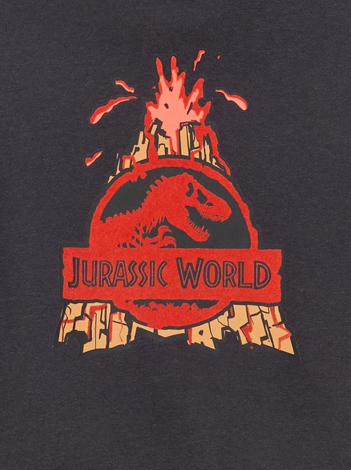 Sweat à capuche 'Jurassic World' - Kiabi