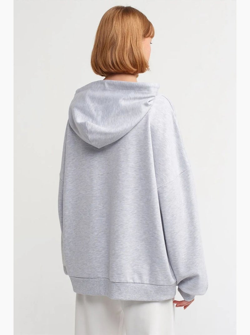 Sweat à capuche oversize en coton dilvin Gris clair - Kiabi