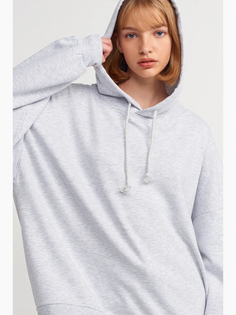 Sweat à capuche oversize en coton dilvin Gris clair - Kiabi