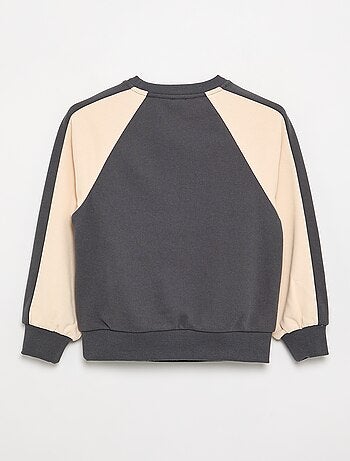 Sweat bicolore avec imprimé