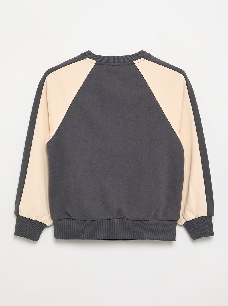 Sweat bicolore avec imprimé Gris - Kiabi