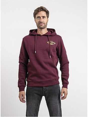 Sweat capuche woutilo