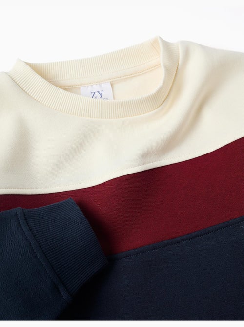 Sweat en coton peigné à bloc de couleurs - Kiabi Sweat en coton peigné à bloc de couleurs - Kiabi