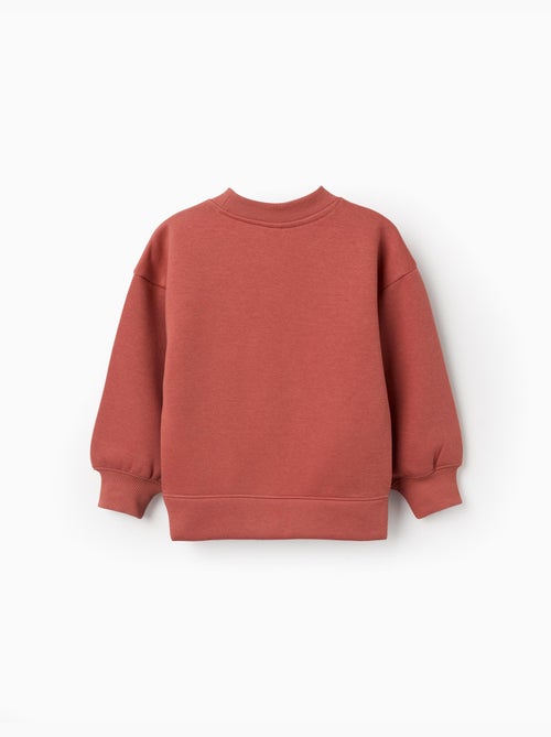 Sweat en coton peigné avec motif art et nature - Kiabi