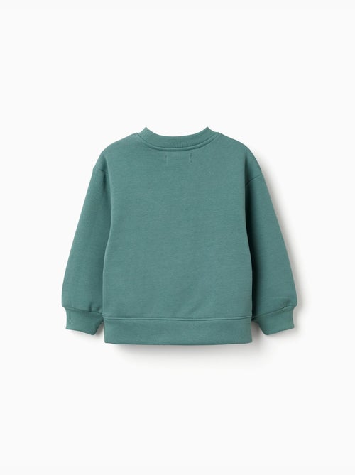 Sweat en coton peigné avec motif art et nature - Kiabi