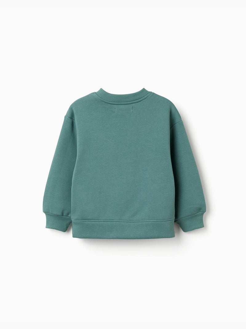 Sweat en coton peigné avec motif art et nature Vert clair - Kiabi