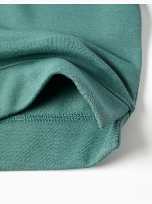 Sweat en coton peigné avec motif art et nature - Kiabi