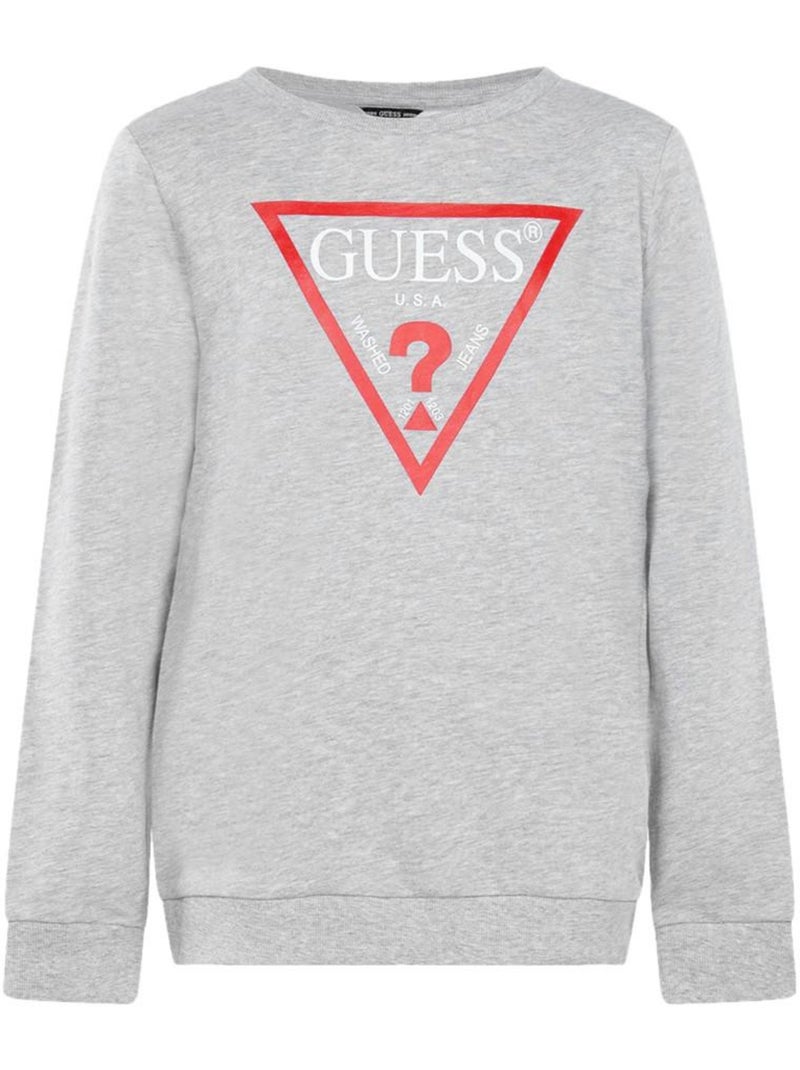 Sweat Garçon Guess Gris Argenté - Kiabi