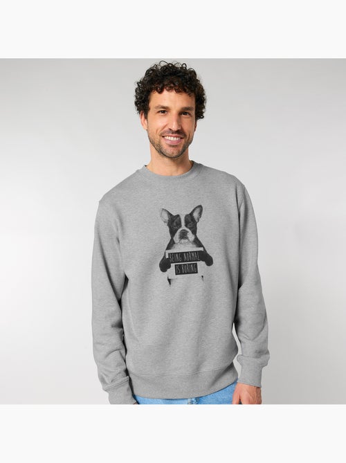 Sweat Homme - BEING NORMAL IS BORING - Kiabi Sweat Homme - BEING NORMAL IS BORING - Kiabi