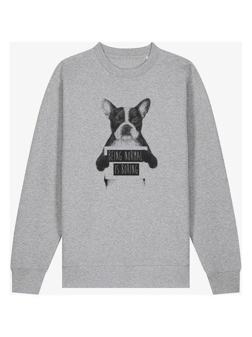 Sweat Homme - BEING NORMAL IS BORING - Kiabi Sweat Homme - BEING NORMAL IS BORING - Kiabi
