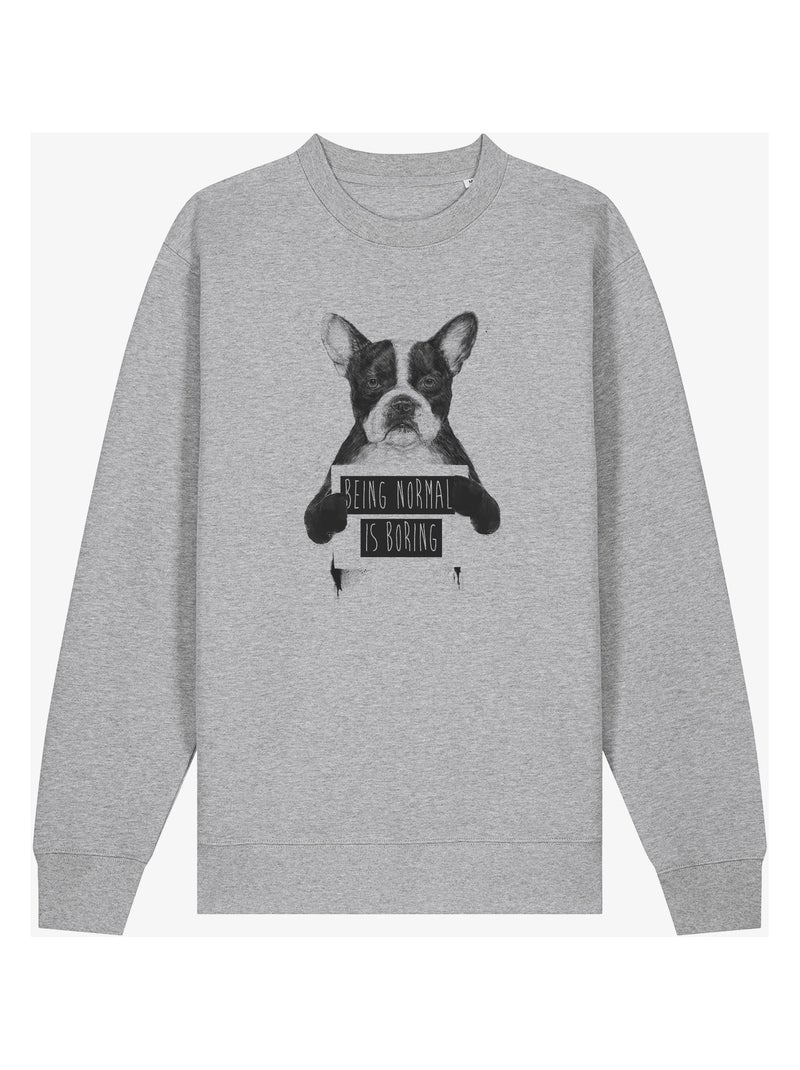 Sweat Homme - BEING NORMAL IS BORING Gris chiné - Kiabi