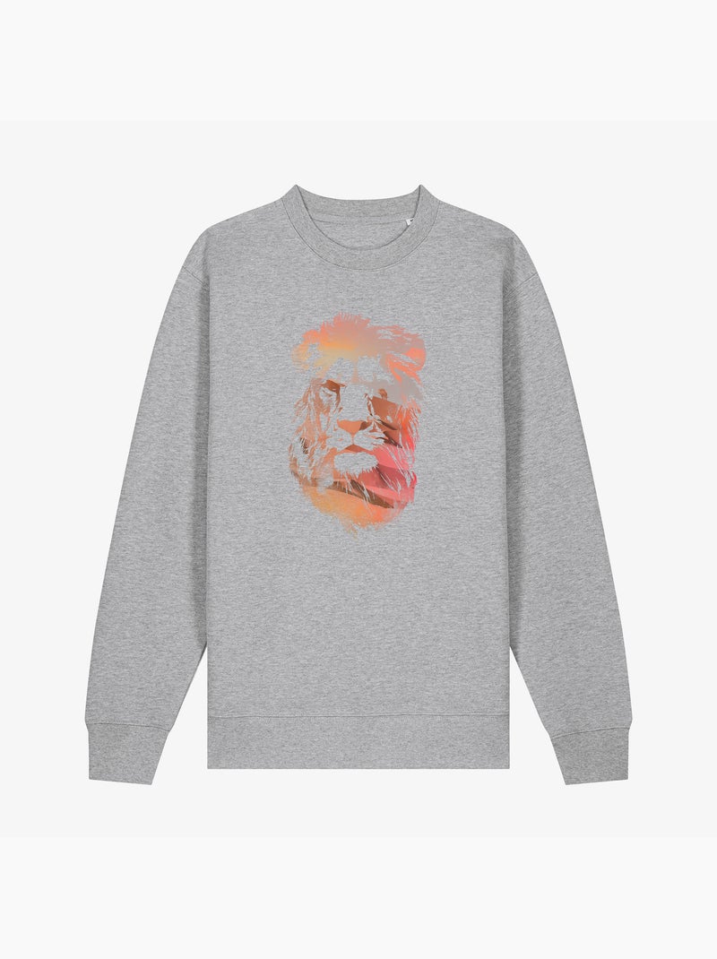 Sweat Homme - DESERT LION Gris chiné - Kiabi