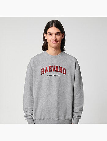 Sweat Homme - HARVARD UNIVERSITY