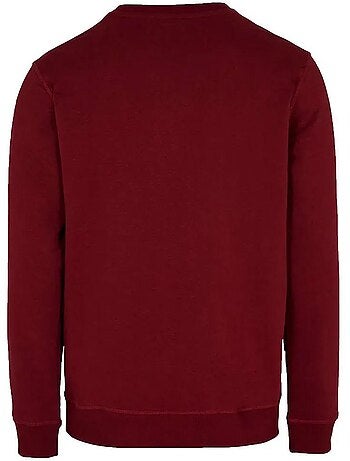 Sweat Homme O'Neill