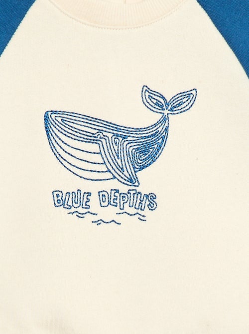 Sweat molleton à manches raglan - Kiabi