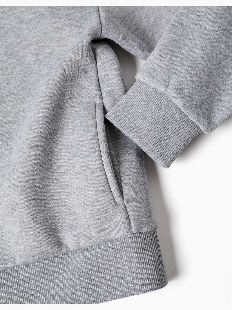 Sweat zippé en molleton avec capuche et doublure en coton peigné Gris - Kiabi
